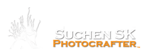 Digital Inspiration Sdn Bhd